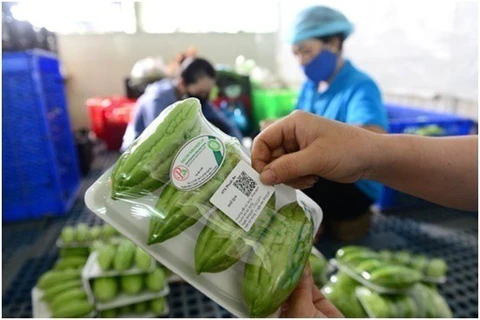 岘港市试点展开在食品包装上印上二维码