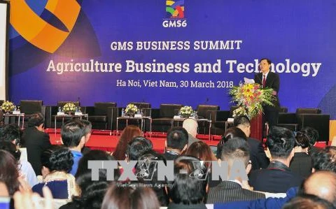 GMS6和CLV 10：高科技农业为促进GMS区域经济增长注入新活力