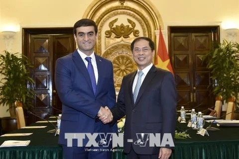 越南外交部与土库曼斯坦外交部举行政治磋商