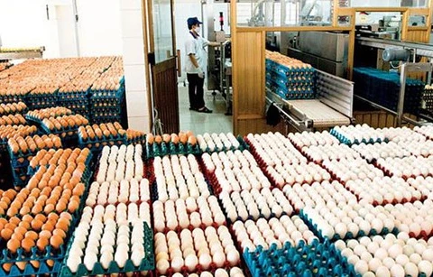 越南将对来自东盟国家的食盐和禽蛋取消进口关税配额