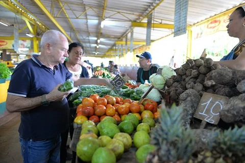 胡志明市将在古巴市场开展贸促工作