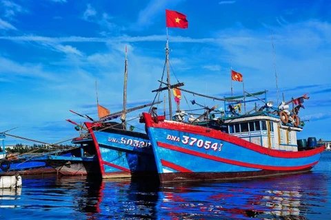 承天顺化省渔民遵守远洋渔业规定