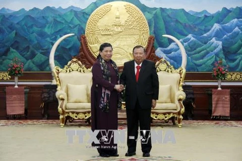 老挝党、国家与政府领导分别会见越南国会代表团