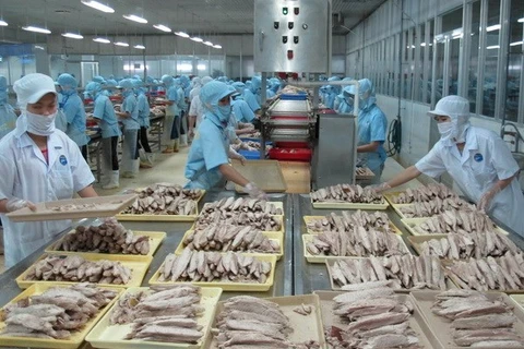 越南再次重申打击非法捕捞的承诺