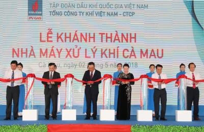 越南国会主席阮氏金银在金瓯省天然气处理厂落成典礼上剪彩。（图片来源：越通社）