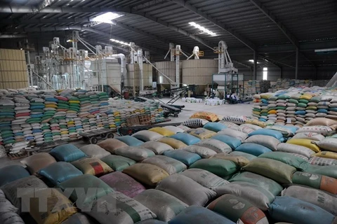 优质大米在越南大米出口结构中占据81%