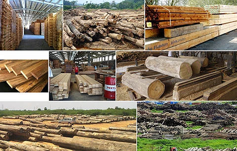 2018年越南木材和木制品出口额可达90亿美元