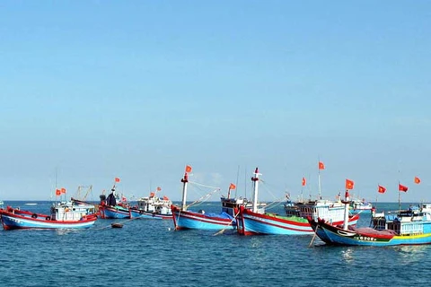 越南不再发生非法捕捞现象