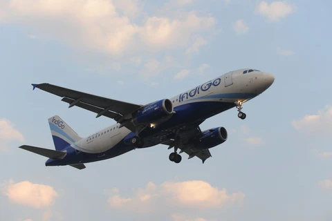 印度靛蓝航空公司计划开通飞往越南的航线