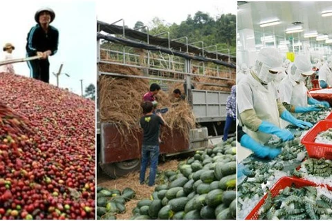 越南走向农林水产品可持续出口