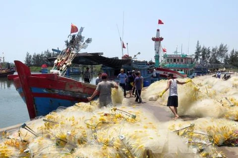 岘港市继续加大力度防范非法捕捞行为