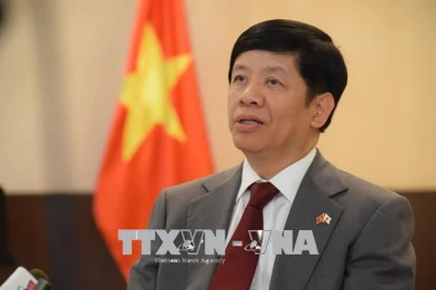 越南驻日本大使：越日双方力争推动纵深战略伙伴关系迈上新台阶