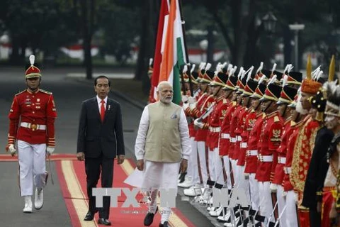 印度与印尼建立新的全面战略伙伴关系