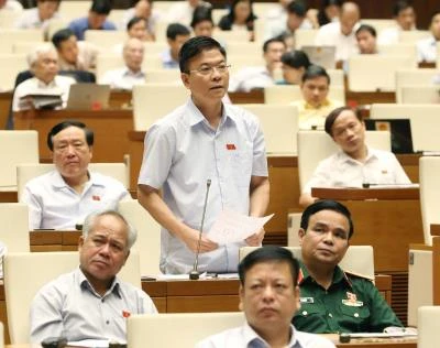 坚江省国会代表团代表在会议上发言。（图片来源：越通社）