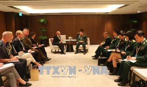 第十七届香格里拉对话会：越南防长吴春历同新西兰、英国、新加坡等国领导举行双边会晤