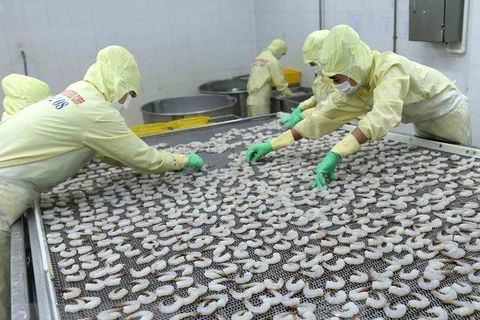 欧盟市场仍保持越南虾类产品最大进口市场地位 