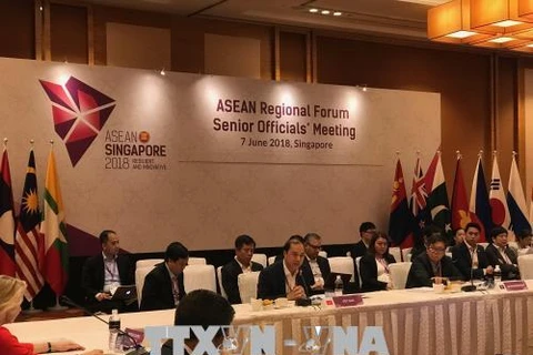 越南代表团出席东盟系列高官会议