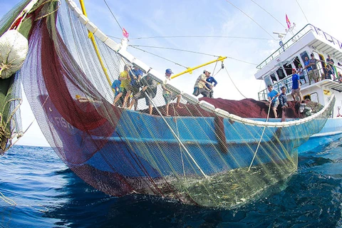越南渔业迎来新机会