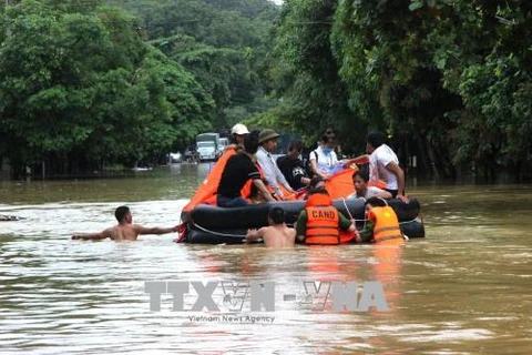 北部山区各省遭特大暴雨洪水袭击 政府总理指导抓紧做好救灾工作