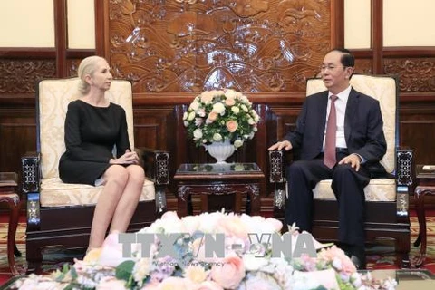 越南国家主席陈大光会见挪威驻越大使