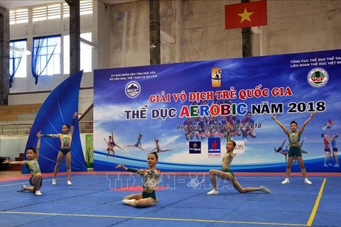  2018年越南国家青年健美操锦标赛在富安省举行