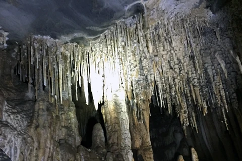 广平省7月15起试点开发弯洞及井瓦洞的新生态旅游路线