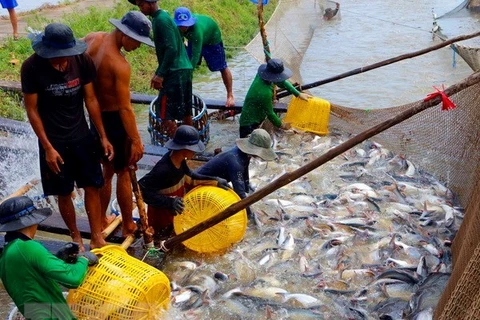 越南迈向建设负责任及可持续发展的渔业