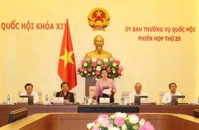 越南国会主席阮氏金银在会议上发表结论性讲话。（图片来源：越通社）
