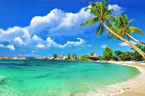 TravelBird：越南海滩跻身世界最便宜的海滩名单