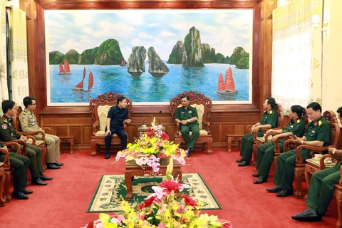 越南与柬埔寨加强地方间合作关系