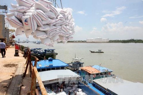 越南一私企中标向韩国出售6万吨糙米