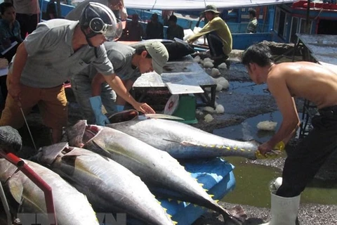 越南渔业着力完成年底目标任务