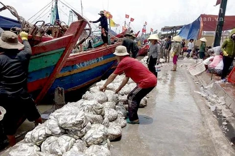 台风过后乂安省渔民准备渔具出海捕捞