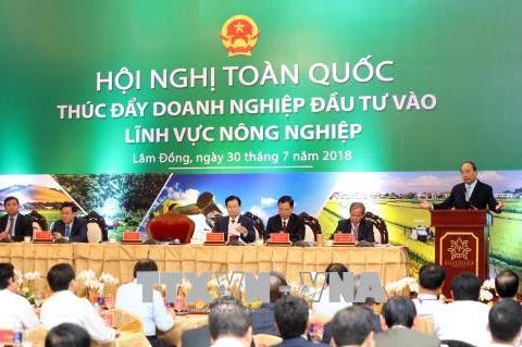 政府总理阮春福：力争未来10年把越南跻身世界15大农业最发达的国家行列
