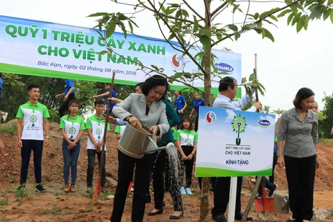 “越南一百万颗树基金”计划在北件省开展植树活动