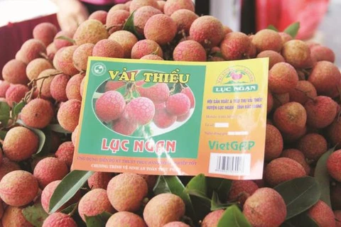 越南获地理标志认证的农产品数量在东南亚位居第二