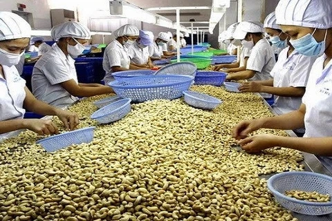 着力提高越南农产品价值