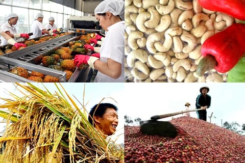 越南努力加大对欧盟市场农产品出口力度