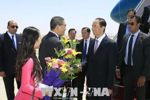 越南国家主席陈大光开始对埃及进行国事访问