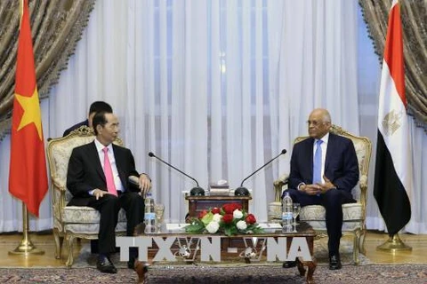 越南国家主席陈大光会见埃及议会议长