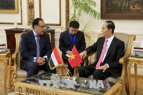 陈大光建议埃及政府为越南农水产品打入埃及连锁超市创造便利条件