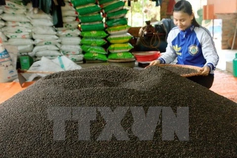 今年前8个月越南胡椒出口量增长3.2%
