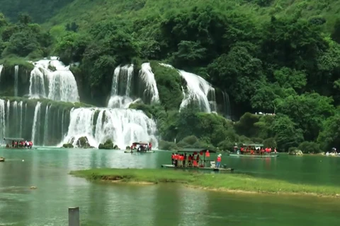 第二次高平省板约瀑布旅游节将于10月份举行