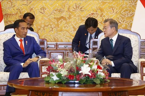 韩国总统与印尼总统举行首脑会谈