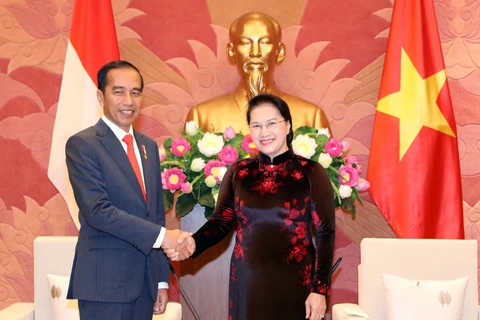 国会主席阮氏金银会见印尼总统佐科·维多多