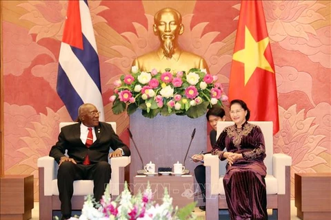 越南国会主席阮氏金银会见古巴国务委员会第一副主席兼第一副部长会议主席