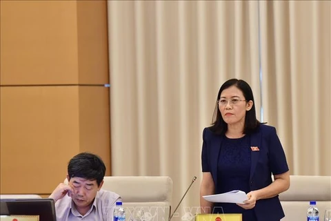 越南国会常委会第27次会议：确保法律体系的稳定性和统一性