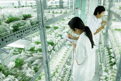越南林同省高科技农业吸引外资额居全国第一