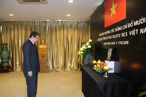 越南驻世界各国大使馆举行原越共中央总书记杜梅吊唁仪式