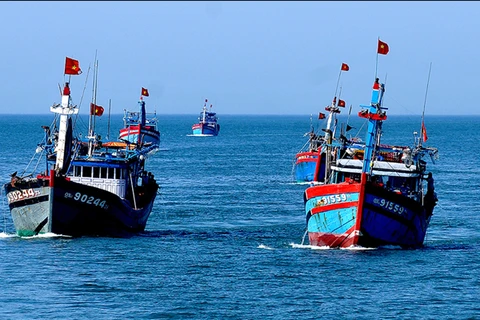 为渔业解除欧盟“黄牌”警告做出努力